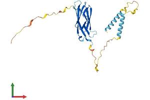 AlphaFold protein structure predicition of Human Recombinant MOSPD3 Protein, UniprotID O75425 (MOSPD3 Protein (AA 1-235) (His tag))