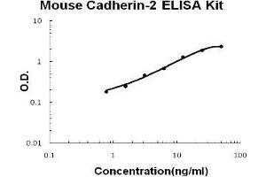 Mouse Cadherin-2/N-Cadherin PicoKine ELISA Kit standard curve