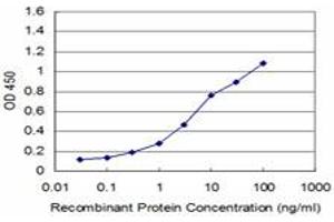 Detection limit for recombinant GST tagged YBX1 is approximately 0. (YBX1 antibody  (AA 51-139))