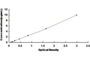 Typical standard curve (GLDC ELISA Kit)