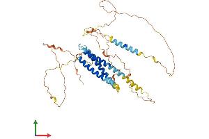 AlphaFold protein structure predicition of Human Recombinant SYNE4 Protein, UniprotID Q8N205 (C19orf46 Protein (AA 1-404) (His tag))