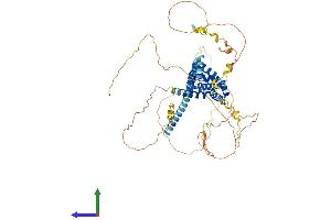 AlphaFold protein structure predicition of Mouse Recombinant Epn2 Protein, UniprotID Q8CHU3