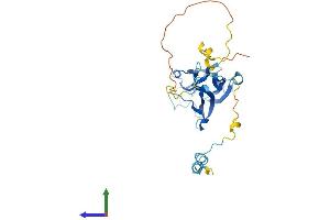 Protein Structure (PS) image for Family with Sequence Similarity 125, Member A (FAM125A) (AA 1-271) protein (His tag) (ABIN7558169)