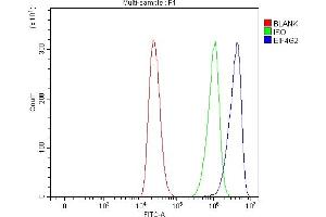 Flow Cytometry analysis of THP-1 cells using anti-P97/DAP5/EIF4G2 antibody (ABIN7600770).