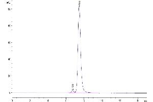 The purity of Human HLA-G Complex is greater than 95 % as determined by SEC-HPLC. (HLAG Protein (Monomer) (HLA-G))