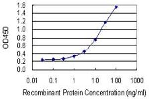 Detection limit for recombinant GST tagged NAP1L1 is 0. (NAP1L1 antibody  (AA 1-110))