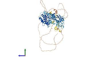 Protein Structure (PS) image for Doublecortin-Like Kinase 2 (DCLK2) (AA 1-756) protein (His tag) (ABIN7564134)