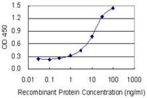 Detection limit for recombinant GST tagged HDHD1A is 0. (HDHD1 antibody  (AA 107-212))