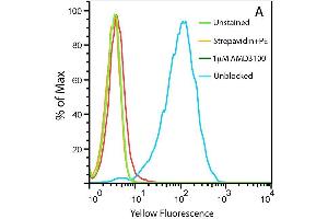 Uptake of 20nM CXCL12-biotin by U937 cells in the presence (red trace) and absence (cyan) of a CXCR4 inhibitor, AMD 3100.