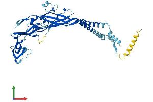 Protein Structure (PS) image for Purinergic Receptor P2X, Ligand Gated Ion Channel 1 (P2RX1) (AA 1-399) protein (His tag) (ABIN7550270)