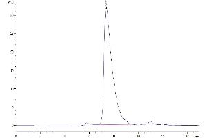 The purity of Human CADM1 is greater than 95 % as determined by SEC-HPLC. (CADM1 Protein (AA 45-374) (His tag))