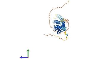 AlphaFold protein structure predicition of Mouse Recombinant Ms4a4d Protein, UniprotID Q99N05 (Ms4a4d Protein (AA 1-225) (His tag))