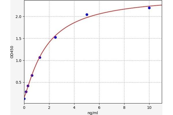 HMGCS1 ELISA Kit