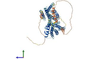 Protein Structure (PS) image for Otopetrin 1 (OTOP1) (AA 1-600) protein (His tag) (ABIN7558365)