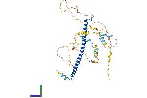 AlphaFold protein structure predicition of Mouse Recombinant Cebpa Protein, UniprotID P53566 (CEBPA Protein (AA 1-359) (His tag))