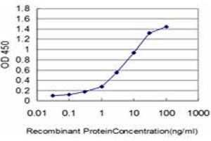 Detection limit for recombinant GST tagged HOXC10 is approximately 0. (HOXC10 antibody  (AA 158-257))