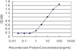 ELISA image for anti-Lactate Dehydrogenase B (LDHB) (AA 1-334) antibody (ABIN561653)