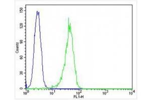 Flow Cytometry (FACS) image for anti-CD63 (CD63) (AA 163-190) antibody (ABIN3030409)