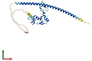 AlphaFold protein structure predicition of Human Recombinant FAM76A Protein, UniprotID Q8TAV0