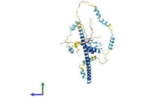 AlphaFold protein structure predicition of Human Recombinant FEZ2 Protein, UniprotID Q9UHY8
