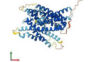 AlphaFold protein structure predicition of Human Recombinant SLC38A8 Protein, UniprotID A6NNN8 (SLC38A8 Protein (AA 1-435) (His tag))