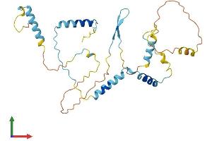 AlphaFold protein structure predicition of Human Recombinant HYLS1 Protein, UniprotID Q96M11 (HYLS1 Protein (AA 1-299) (His tag))