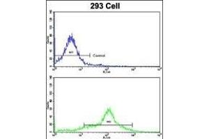 Flow cytometric analysis of 293 cells using EHD3 Antibody (Center)(bottom histogram) compared to a negative control cell (top histogram). (EHD3 antibody  (AA 189-216))