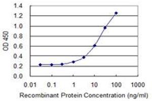 Detection limit for recombinant GST tagged SLC39A10 is 0. (SLC39A10 antibody  (AA 514-621))