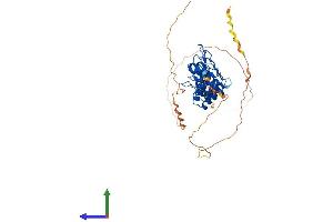 Protein Structure (PS) image for B-Cell CLL/lymphoma 3 (BCL3) (AA 1-448) protein (His tag) (ABIN7556427)