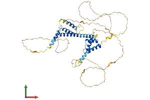 Protein Structure (PS) image for Meis Homeobox 2 (MEIS2) (AA 1-477) protein (His tag) (ABIN7554511)