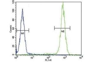 IL-4 antibody flow cytometric analysis of WiDr cells (right histogram) compared to a negative control (left histogram). (IL-4 antibody  (AA 122-150))
