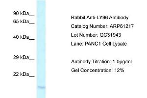 Western Blotting (WB) image for anti-Lymphocyte Antigen 96 (LY96) (C-Term) antibody (ABIN2788723) (LY96 antibody  (C-Term))