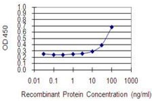 Detection limit for recombinant GST tagged KIF3B is 3 ng/ml as a capture antibody. (KIF3B antibody  (AA 648-747))