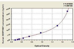 Typical standard curve (SERPINB1 ELISA Kit)