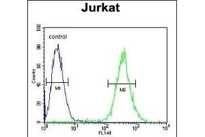 GLRX5 Antibody (C-term) (ABIN651225 and ABIN2840140) flow cytometric analysis of Jurkat cells (right histogram) compared to a negative control cell (left histogram). (GLRX5 antibody  (C-Term))