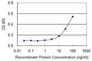 Detection limit for recombinant GST tagged DAXX is approximately 1ng/ml as a capture antibody. (DAXX antibody  (AA 561-660))