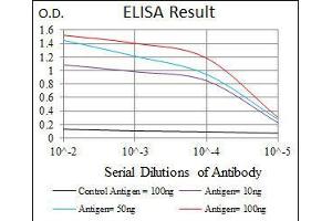 Black line: Control Antigen (100 ng), Purple line: Antigen(10 ng), Blue line: Antigen (50 ng), Red line: Antigen (100 ng), (TWF1 antibody  (AA 335-384))