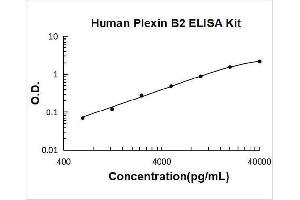 Typical Standard Curve