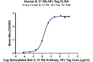 ELISA image for Interleukin 31 Receptor A (IL31RA) (AA 20-519) protein (Fc Tag) (ABIN7275030)