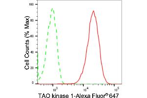 Flow cytometric analysis of TAO kinase 1 expression in HepG2 cells using TAO kinase 1 antibody (ABIN7800509), 1:2,000). (Recombinant TAO Kinase 1 (TAOK1) antibody)