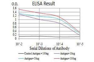 Black line: Control Antigen (100 ng),Purple line: Antigen (10 ng), Blue line: Antigen (50 ng), Red line:Antigen (100 ng) (CHRNA6 antibody  (AA 26-239))