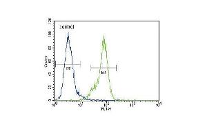 Dnmt1 Antibody (C-term ) (ABIN387878 and ABIN2844085) flow cytometric analysis of MDA-M cells (right histogram) compared to a negative control cell (left histogram).