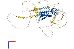 AlphaFold protein structure predicition of Human Recombinant PLPPR3 Protein, UniprotID Q6T4P5 (LPPR3 Protein (AA 1-718) (His tag))