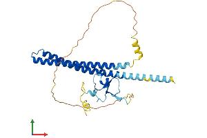 Protein Structure (PS) image for Inhibitor of Growth Family, Member 2 (ING2) (AA 1-281) protein (His tag) (ABIN7561472)