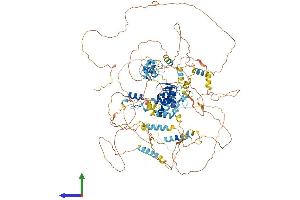 AlphaFold protein structure predicition of Human Recombinant TSHZ3 Protein, UniprotID Q63HK5