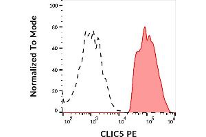 Separation of CLIC5 transfected HEK-293 cells stained using anti-CLIC5 (CLIC5-02) PE antibody (concentration in sample 3 μg/mL, red-filled) from unstained CLIC5 transfected HEK-293 cells (GAM APC, black-dashed) in flow cytometry analysis (intracellular staining). (CLIC5 antibody  (AA 160-173) (PE))