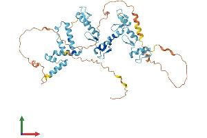 AlphaFold protein structure predicition of Human Recombinant ZSCAN21 Protein, UniprotID Q9Y5A6 (ZSCAN21 Protein (AA 1-473) (His tag))