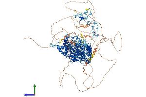 Protein Structure (PS) image for Lysine (K)-Specific Demethylase 2B (KDM2B) (AA 1-1336) protein (His tag) (ABIN7554306)