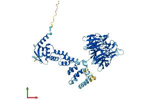 AlphaFold protein structure predicition of Human Recombinant IPP Protein, UniprotID Q9Y573 (IPP Protein (AA 1-584) (His tag))