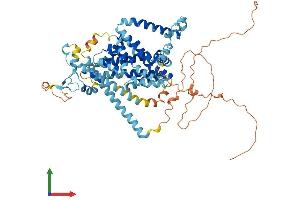 AlphaFold protein structure predicition of Mouse Recombinant Slc34a1 Protein, UniprotID Q60825 (Solute Carrier Family 34 (Type II Sodium/phosphate Contransporter), Member 1 (SLC34A1) (AA 1-637) protein (His tag))